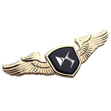 Citroen DS Metal Wings Car Front Hood Sticker Emblem Badge