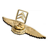 Citroen DS Metal Wings Car Front Hood Sticker Emblem Badge