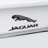 Jaguar Leopard ABS Car Rear Sticker Decal Emblem Badge