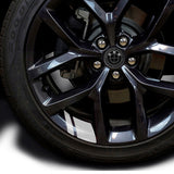 7pcs/set 50th Anniversary BMW Car Front Hood Emblem Rear Trunk Badge Auto Wheel Hub Caps Steering Wheel Sticker